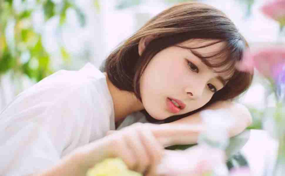 站群软件有免费的么