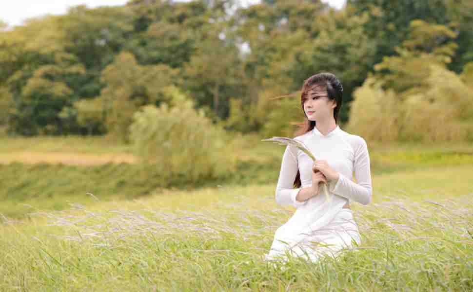 站群管理系统 开源